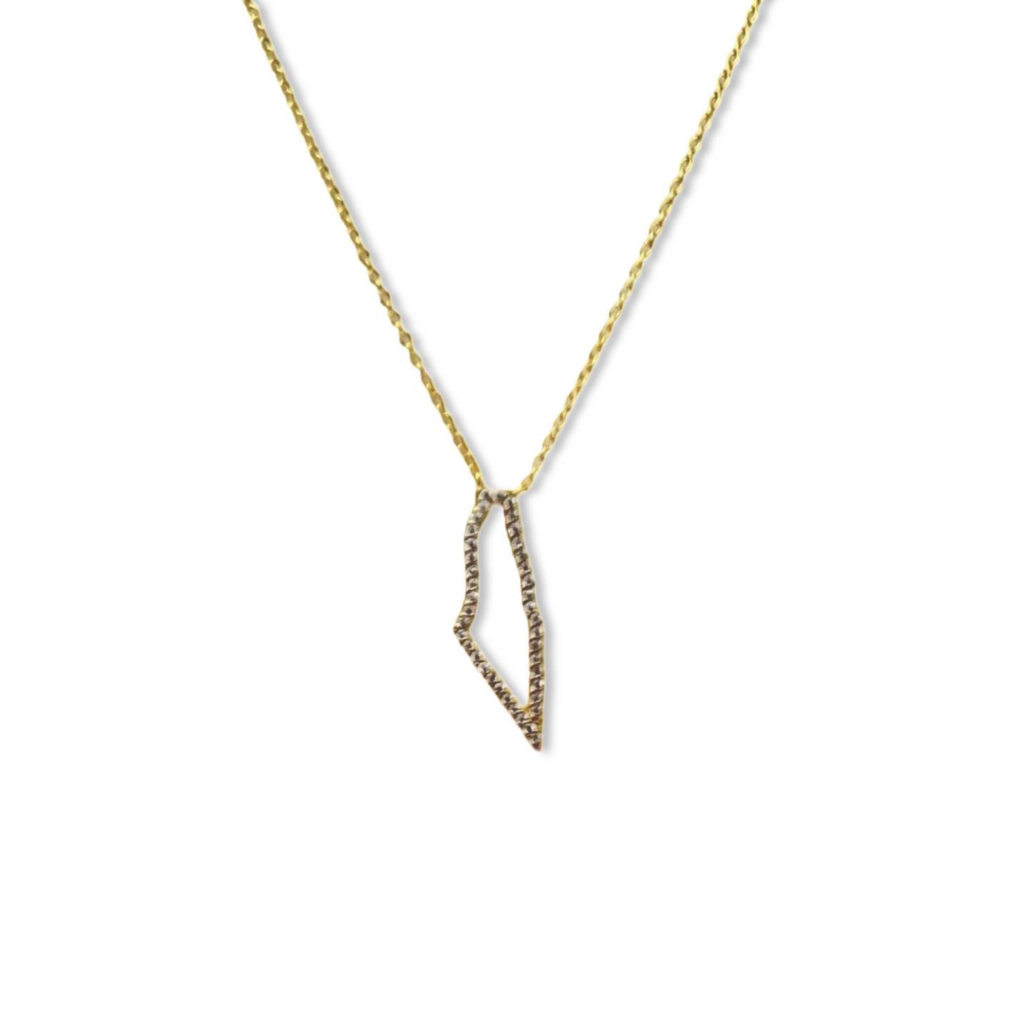 Hollow Pavé Palestine Map Necklace