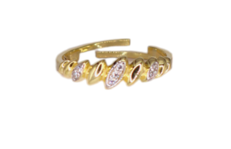 Chico Ring