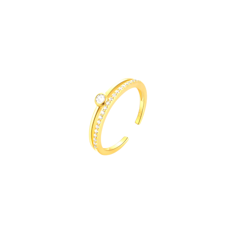 Circle Stone Pavé Bold Double Line Ring
