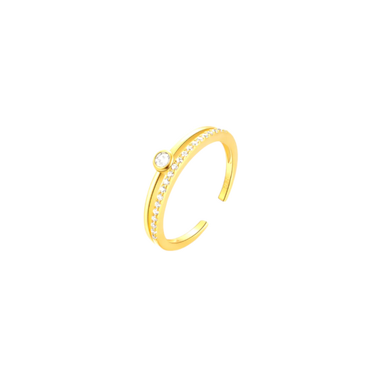 Circle Stone Pavé Bold Double Line Ring