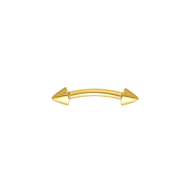 Spiked Rook Earring