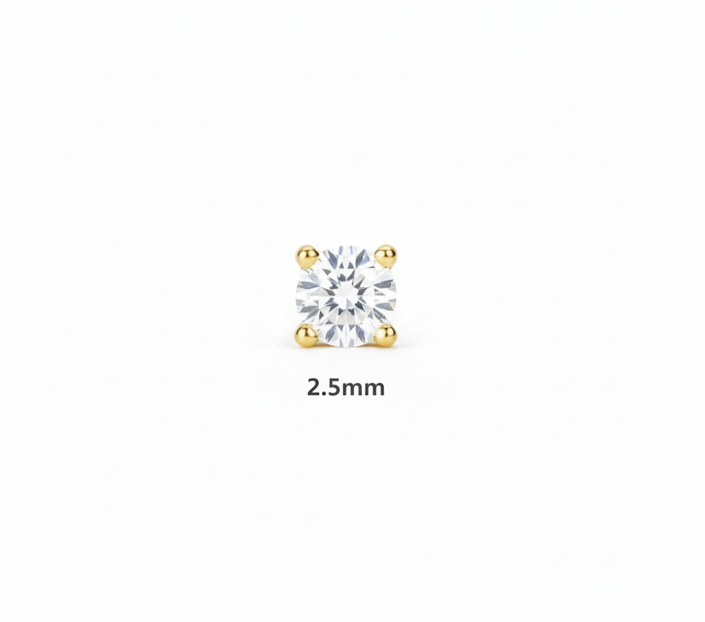 Circle Stud Earring