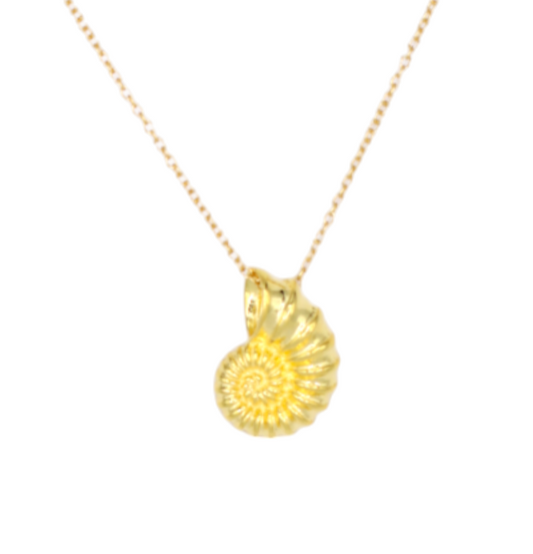 Seashell Necklace