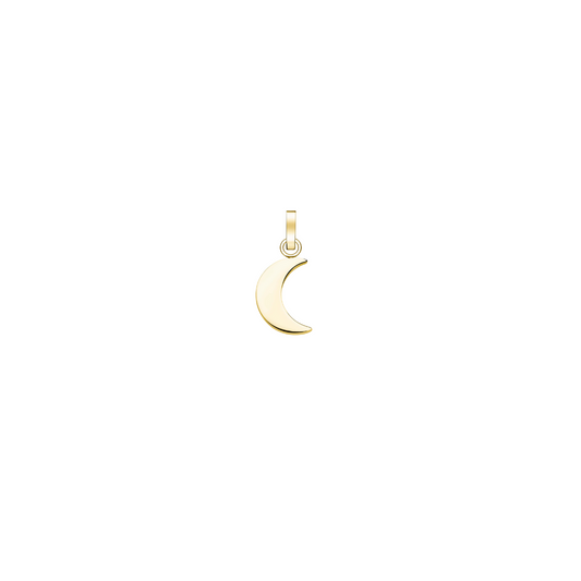 Mini Moon Charm