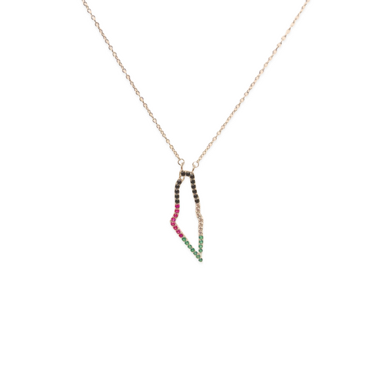 Hollow Pavé Colorful Palestine Map Necklace