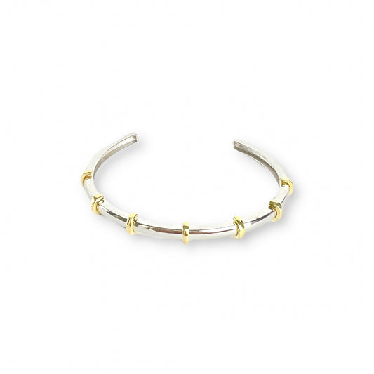 Gold Bars on Silver Bangle