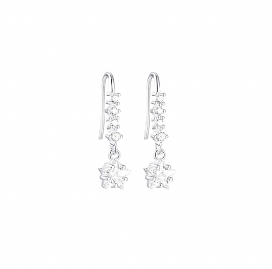 Dangling Circles Crystal Star Hook Earring