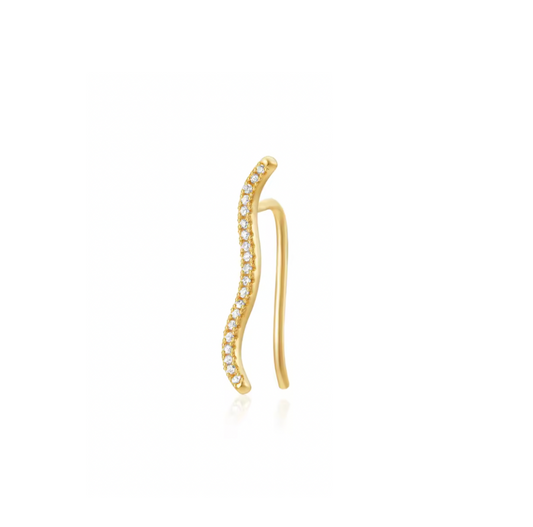 Pavé Curve Hook Earring