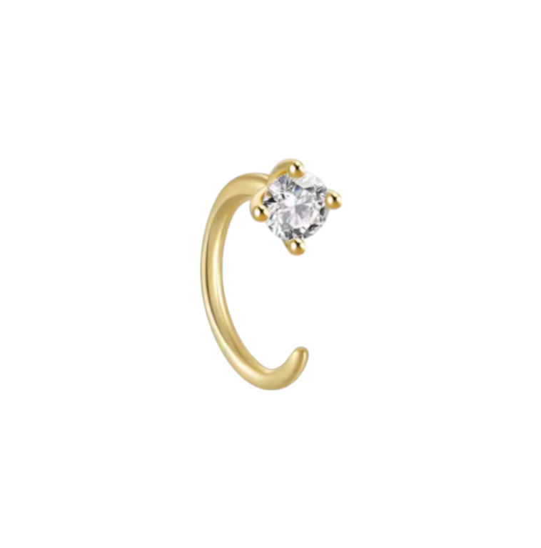 Circle Crystal Hook Earring