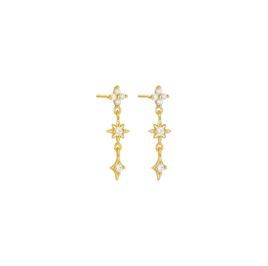 Starry Flora Tassel Earring