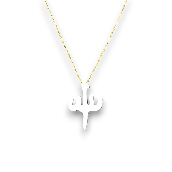 Enamel Precious Necklace