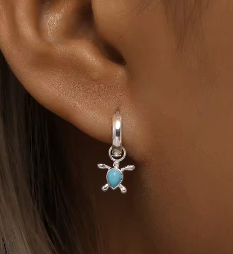 Blue Turtle Hoops