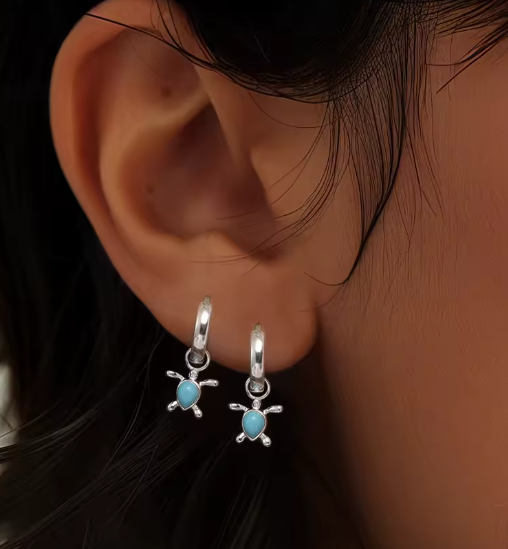 Blue Turtle Hoops
