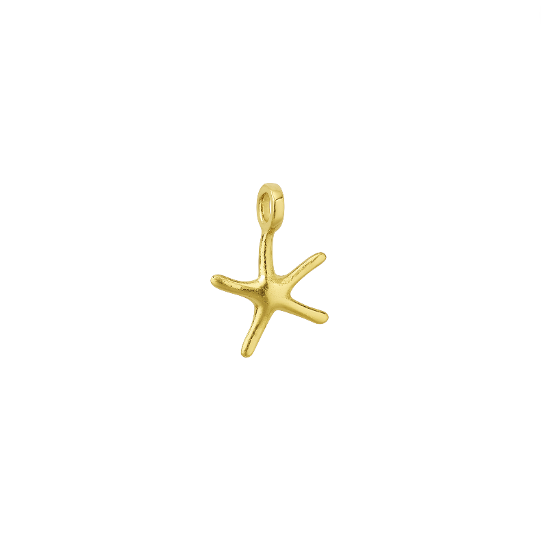 Bold Starfish Charm