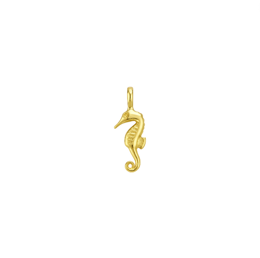 Seahorse Charm