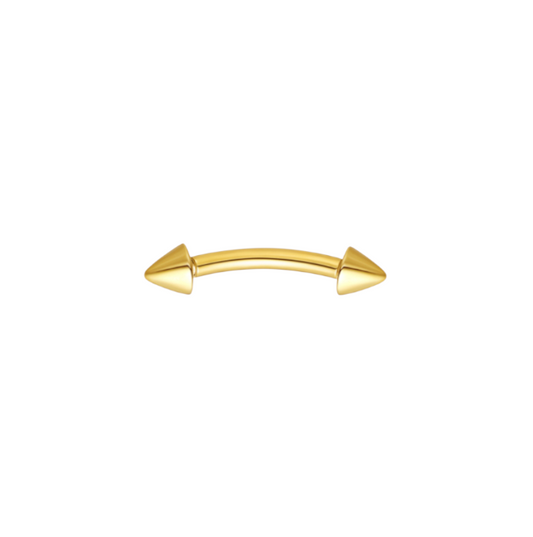 Spiked Rook Earring