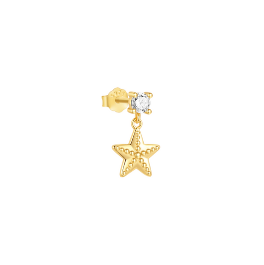 Circle with Dangling Star Stud