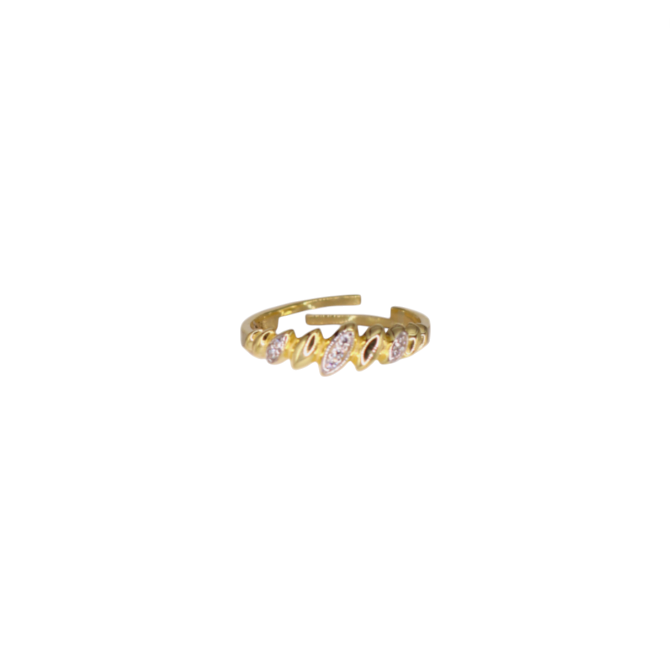 Chico Ring