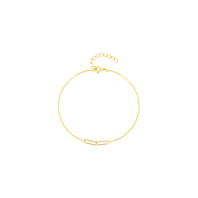Double Link Bracelet