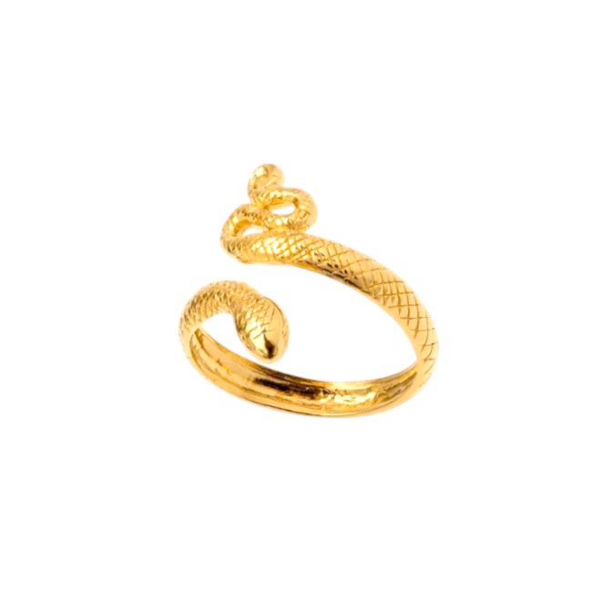 Snake Ring