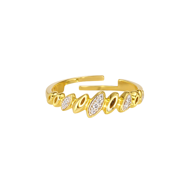 Chico Ring