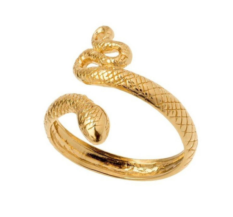 Snake Ring